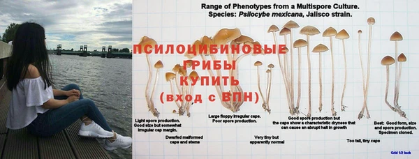 MESCALINE Богородск